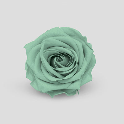 Rosa Dusty Green | Signature Box da 21