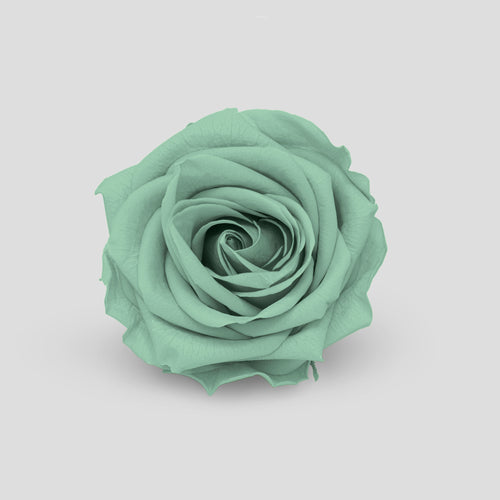Rosa Dusty Green | Collection Box da 10