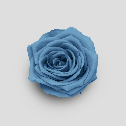 Rosa Dusty Blue | Signature Box da 21