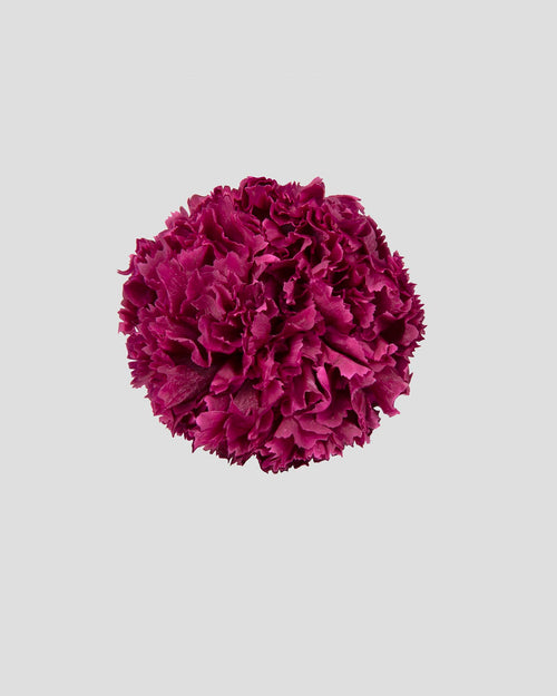 Garofano- 8 fiori | Rose Wine