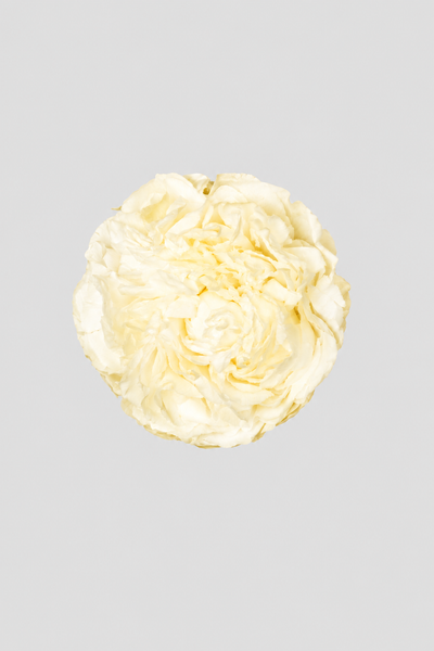 Peonia Butter