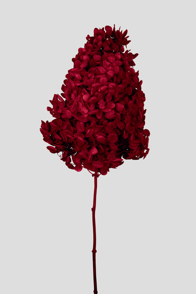 Ortensia Peegee | Red