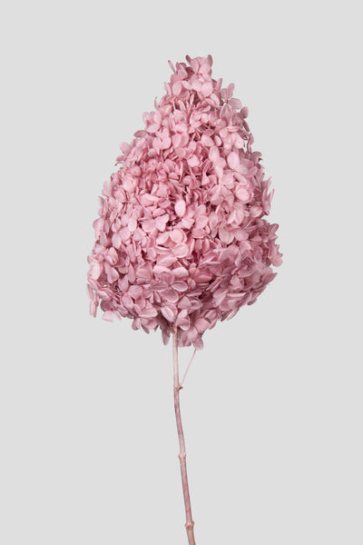 Ortensia Peegee | Blush Pink