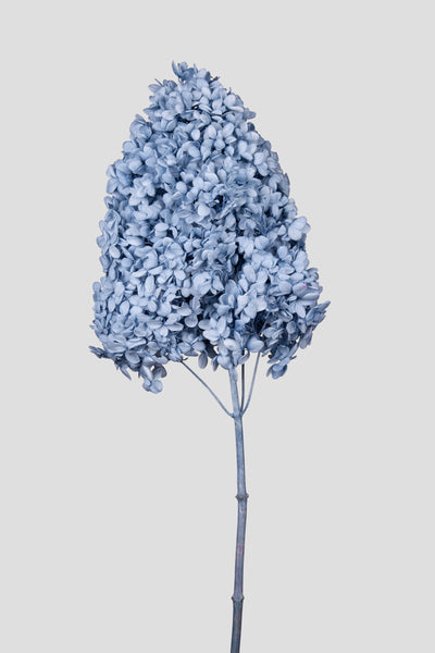 Ortensia Peegee | Sky Blue
