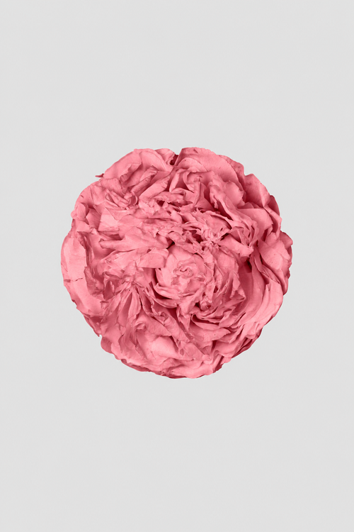 Peonia Mauve