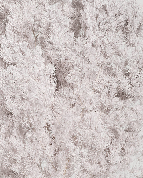 Ming Fern | White