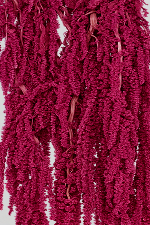 Amaranto | Mulberry
