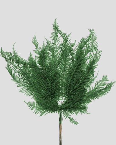 Felce di Montagna | Forest Green