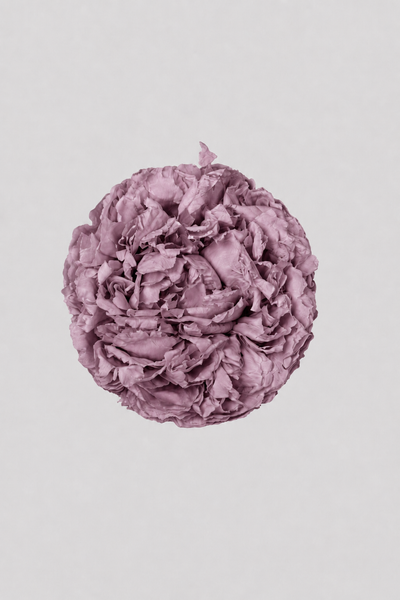 Peonia Mauve