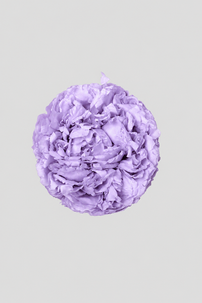 Peonia Lilac
