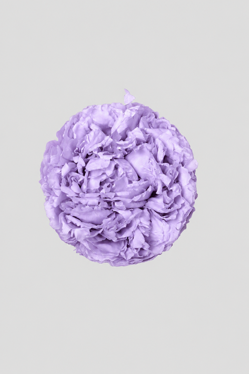 Peonia Lilac