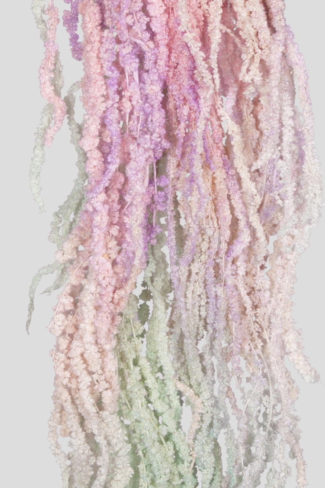 Amaranto | Aurora Gradient