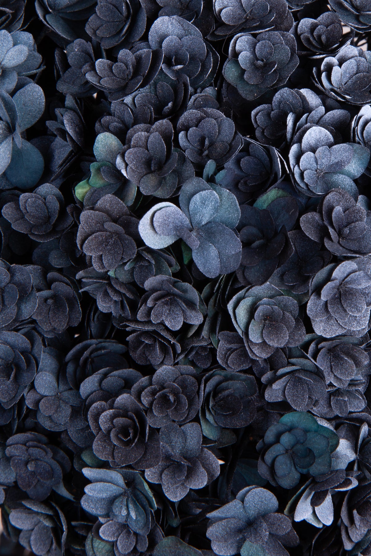 Ortensia Twin Petals | Navy Shade