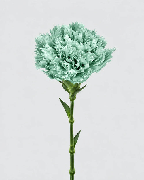 Garofano- 8 fiori | Dusty Green