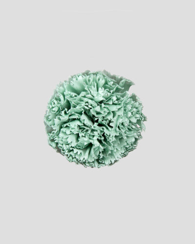Garofano- 8 fiori | Dusty Green