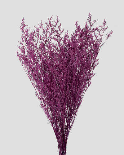 Limonium |  Grape