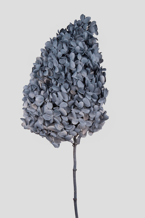 Ortensia Peegee | Grey Blue