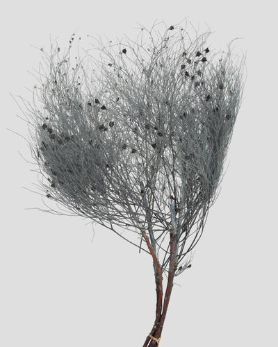 Dream Grass | Grey Blue