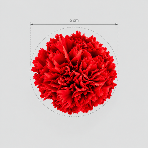 Garofano- 8 fiori | Yellow