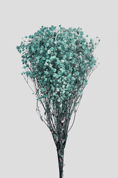 Gypsophila | Tiffany