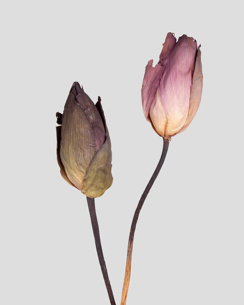 Fior di Loto - 2 pz. | Natural