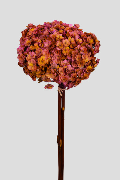Ortensia Twin Petals | Pink-Orange