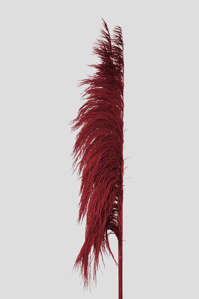Feather Pampas 5 steli | Red