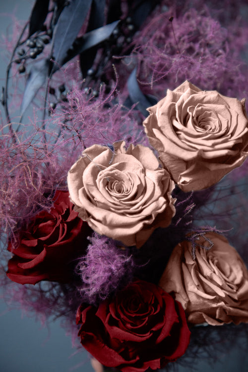 Rosa Rusty Red | Collection Box da 10