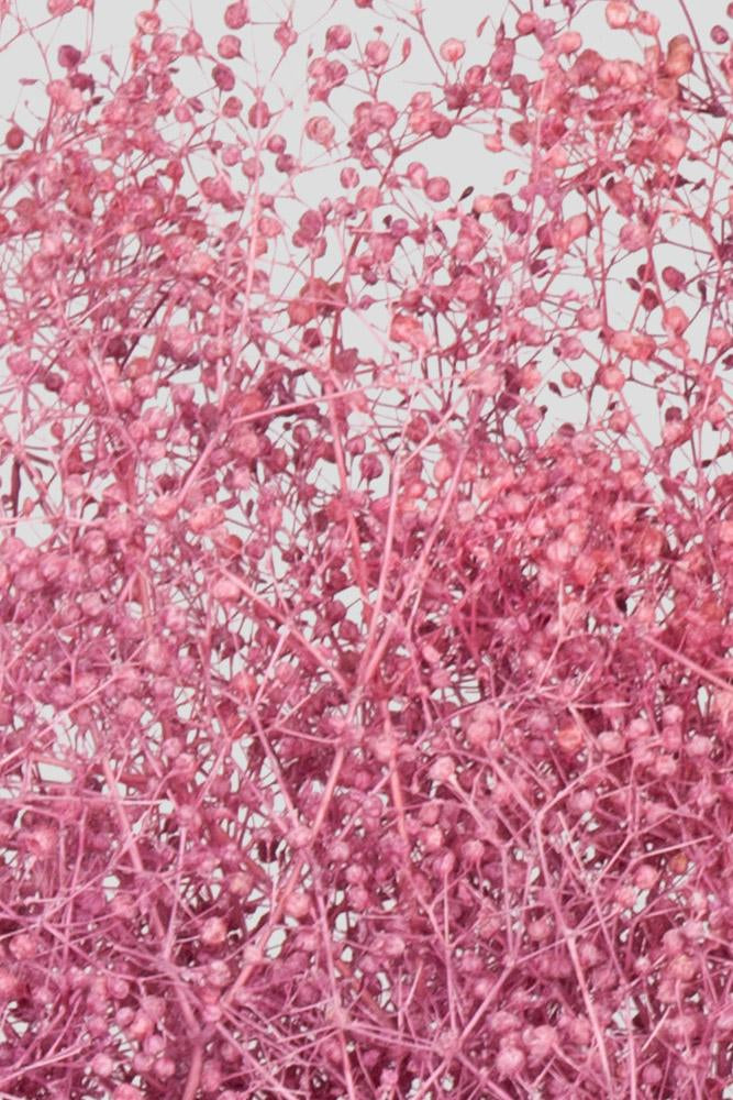 Mini-Gypsophila | Rose Wine