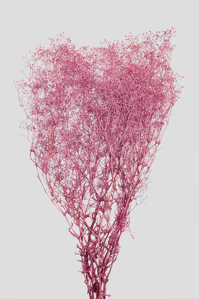 Mini-Gypsophila | Rose Wine