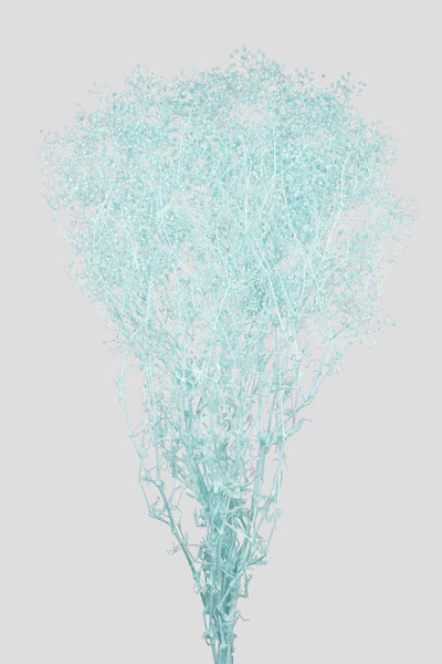 Mini-Gypsophila | Tiffany
