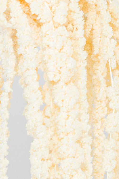 Amaranto | White