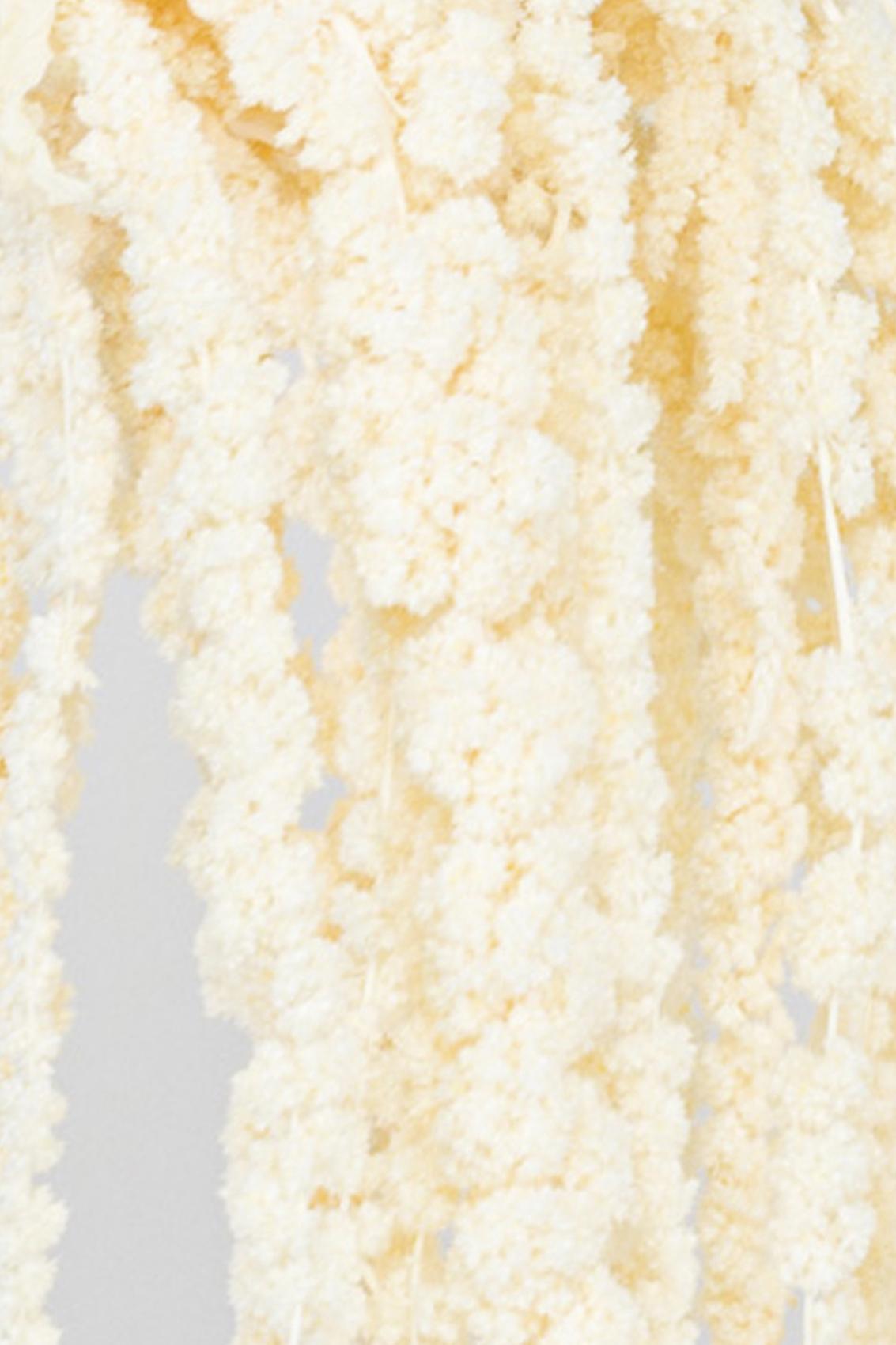 Amaranto | White
