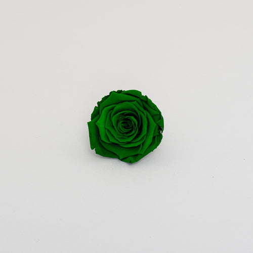 Rose Extra | box 6