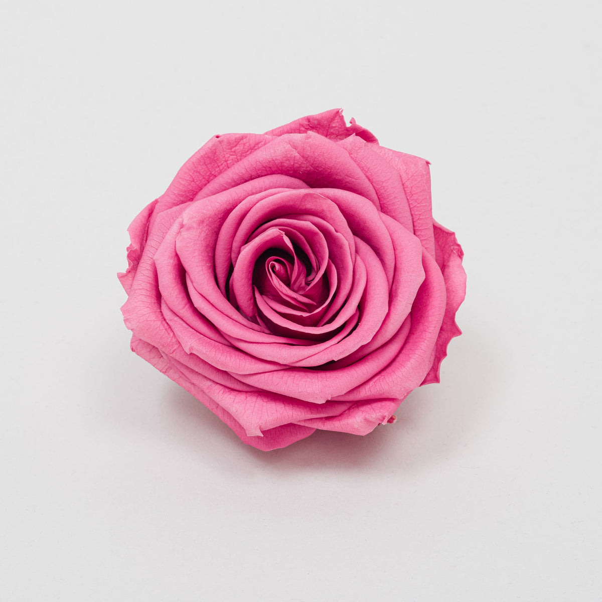 Rose Vintage Colors | box of 4